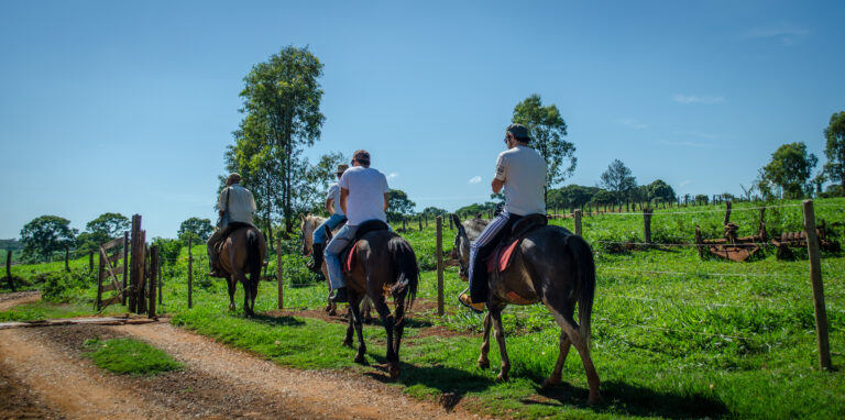 Horse riding tour